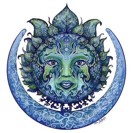 Night Faerie Oil