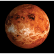 Planetary - Venus Oil