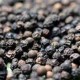 Black Pepper Oil