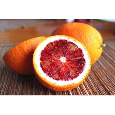 Blood Orange Oil