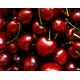 Cherry Oil