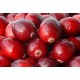 Cranberry Oil