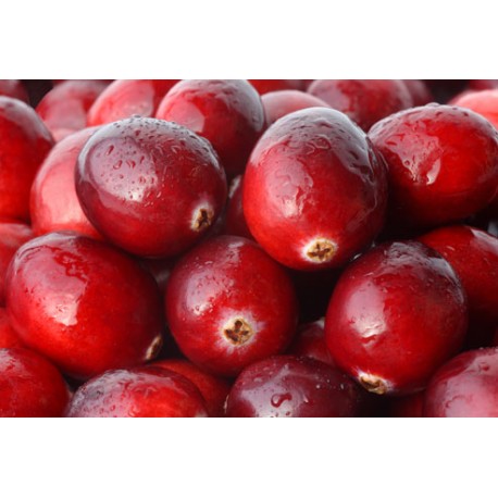 Cranberry Oil