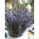 Lavender Oil