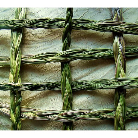 Sweetgrass Oil