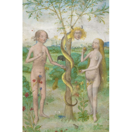 Adam and Eve Oil