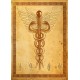 Asclepius Stick  Incense