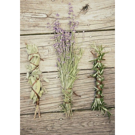 Lavender, Sage and Rosemary Oil