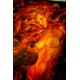 Salamander Stick Incense
