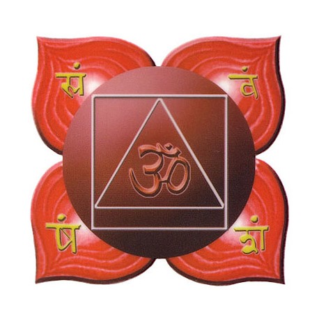 1st Base Chakra Oil