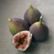 Moroccan Fig Oil