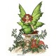 Green Fairy Oil