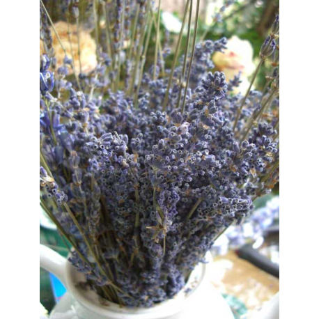 Lavender Stick  Incense