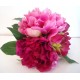 Pivoine Rose Oil