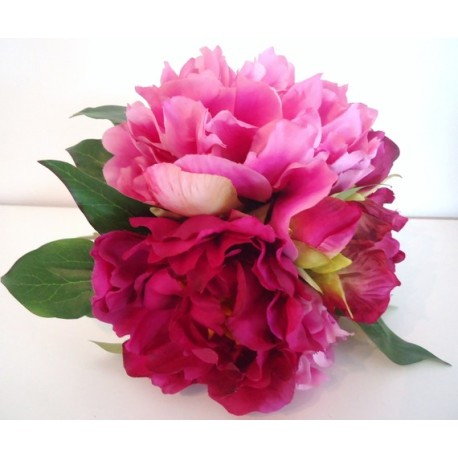 Pivoine Rose Oil