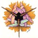 Fleur d' Oranger Oil