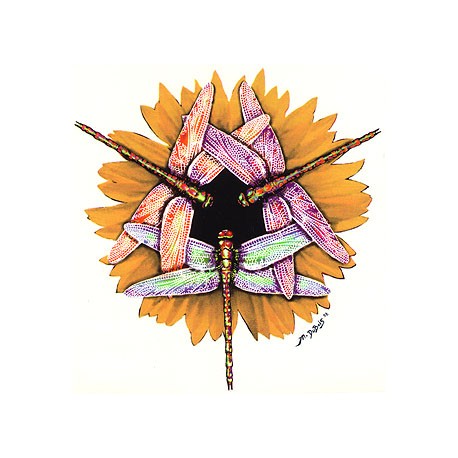 Fleur d' Oranger Oil