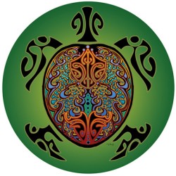 Healthy Wealthy and Wise Conjure Oil