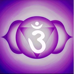 7th Chakra Oil - Crown