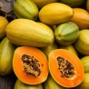 Papaya Oil